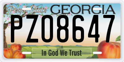 GA license plate PZO8647