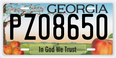 GA license plate PZO8650
