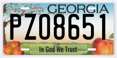 GA license plate PZO8651