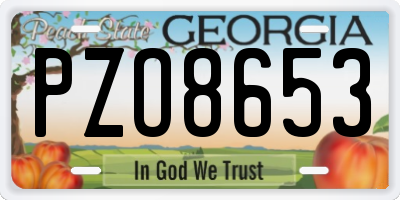 GA license plate PZO8653