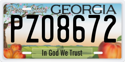 GA license plate PZO8672