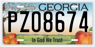 GA license plate PZO8674