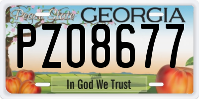 GA license plate PZO8677