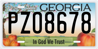 GA license plate PZO8678