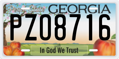 GA license plate PZO8716