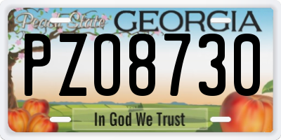 GA license plate PZO8730