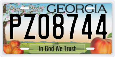 GA license plate PZO8744