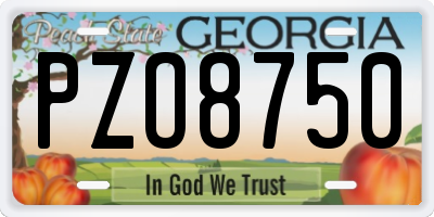 GA license plate PZO8750