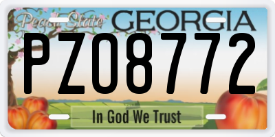 GA license plate PZO8772