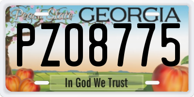 GA license plate PZO8775