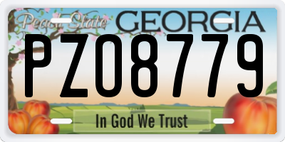 GA license plate PZO8779