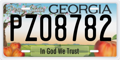 GA license plate PZO8782