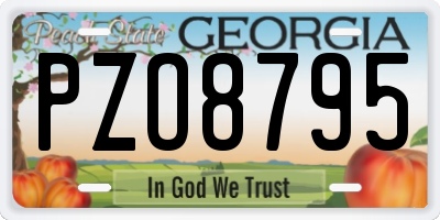 GA license plate PZO8795
