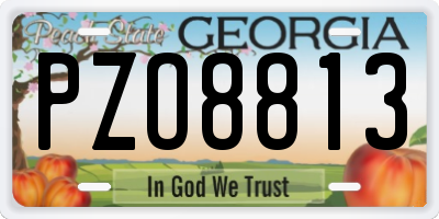 GA license plate PZO8813