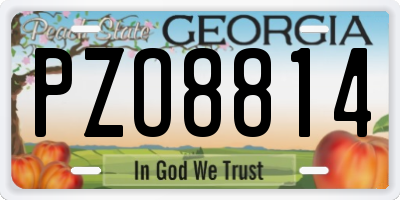 GA license plate PZO8814