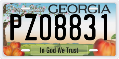 GA license plate PZO8831