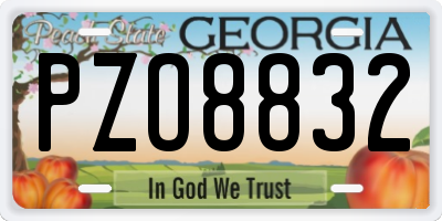 GA license plate PZO8832