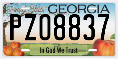 GA license plate PZO8837