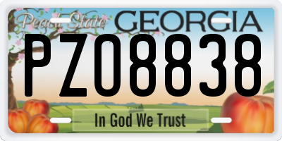 GA license plate PZO8838