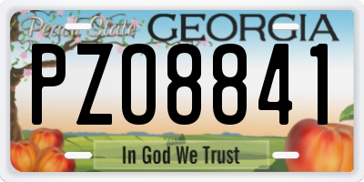 GA license plate PZO8841