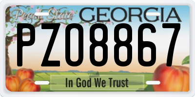 GA license plate PZO8867