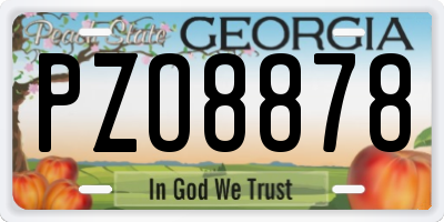 GA license plate PZO8878