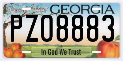 GA license plate PZO8883