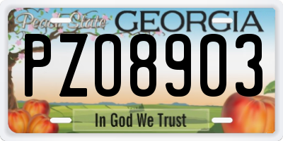 GA license plate PZO8903
