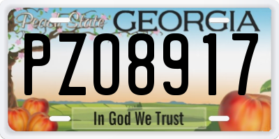 GA license plate PZO8917
