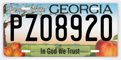 GA license plate PZO8920