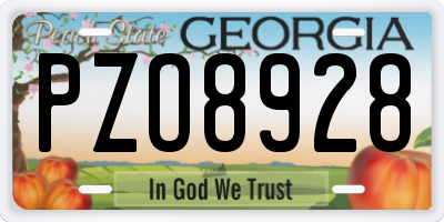 GA license plate PZO8928