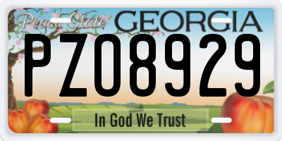 GA license plate PZO8929
