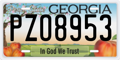 GA license plate PZO8953