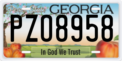 GA license plate PZO8958
