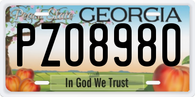 GA license plate PZO8980