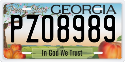 GA license plate PZO8989