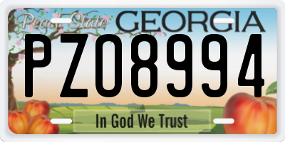GA license plate PZO8994