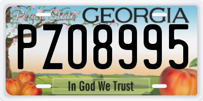 GA license plate PZO8995