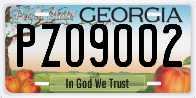 GA license plate PZO9002