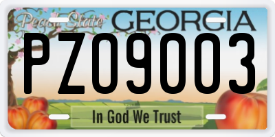 GA license plate PZO9003