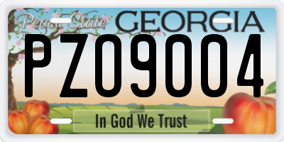 GA license plate PZO9004