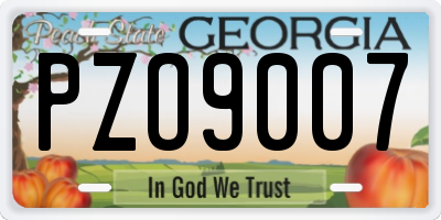 GA license plate PZO9007