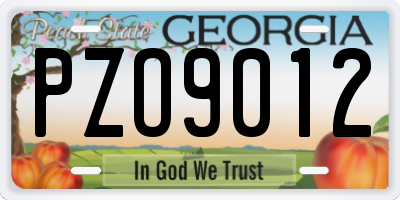 GA license plate PZO9012