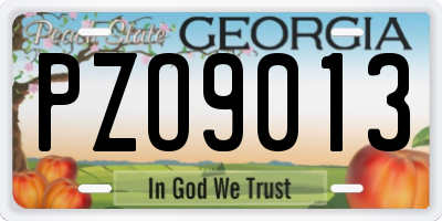 GA license plate PZO9013