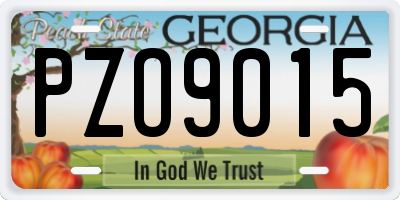 GA license plate PZO9015