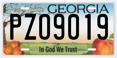 GA license plate PZO9019