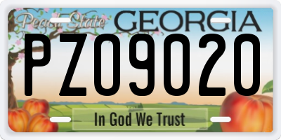 GA license plate PZO9020