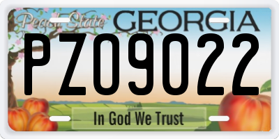 GA license plate PZO9022