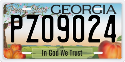 GA license plate PZO9024