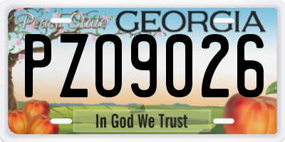 GA license plate PZO9026